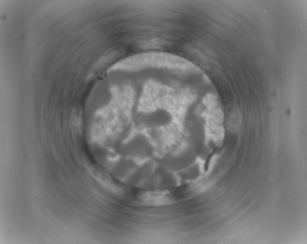 X0000077360179200611171932