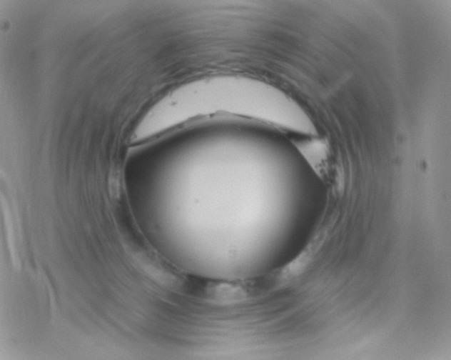 X0000077360180200611171932