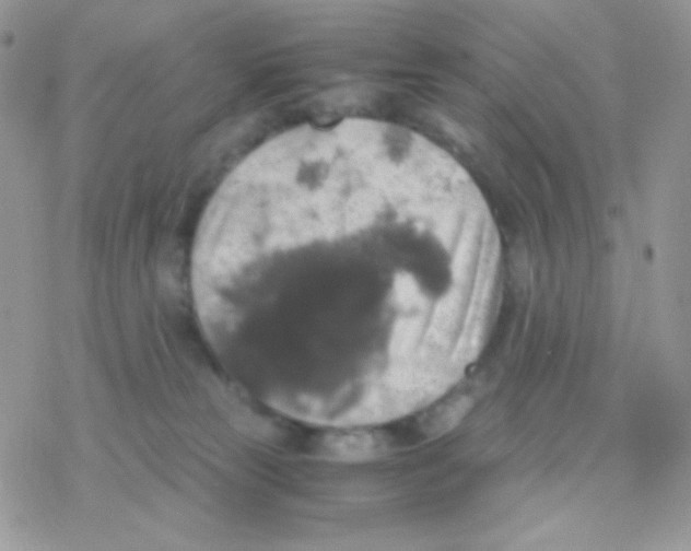 X0000077360181200611171932