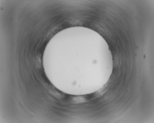 X0000077360183200611171932