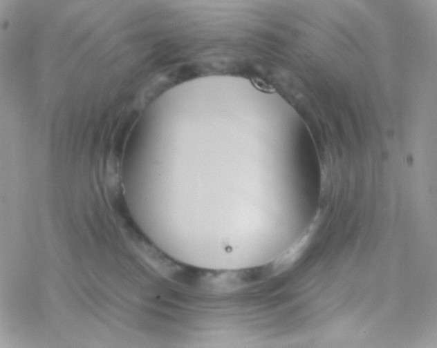 X0000077360186200611171932