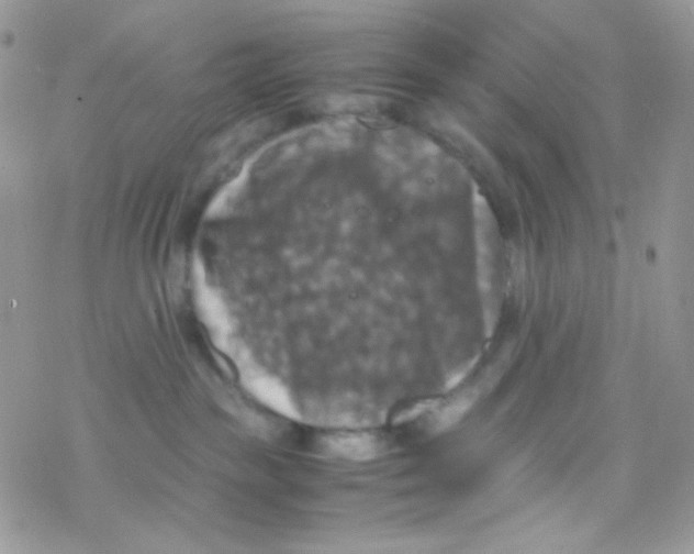 X0000077360189200611171932