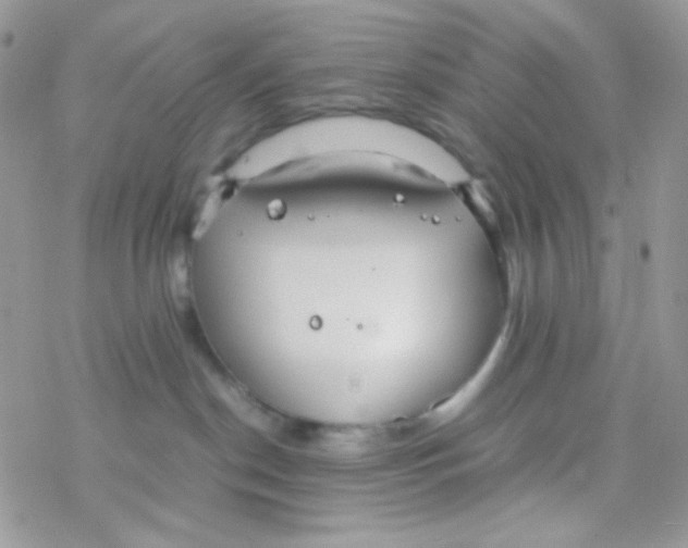 X0000077360190200611171932