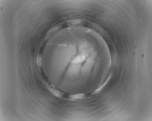 X0000077360191200611171932