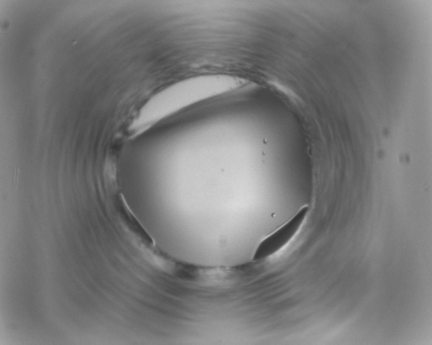 X0000077360192200611171932