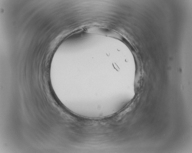 X0000077360193200611171932