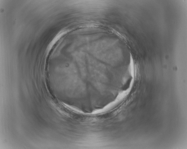 X0000077360195200611171932