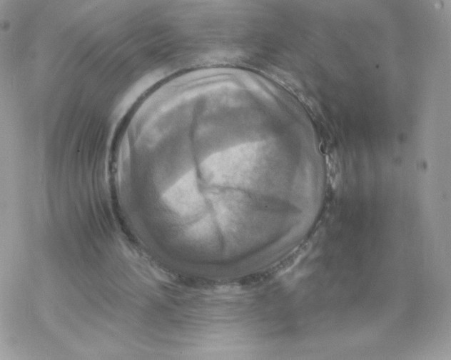 X0000077360196200611171932