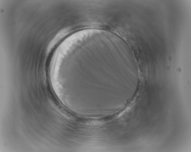 X0000077360198200611171932