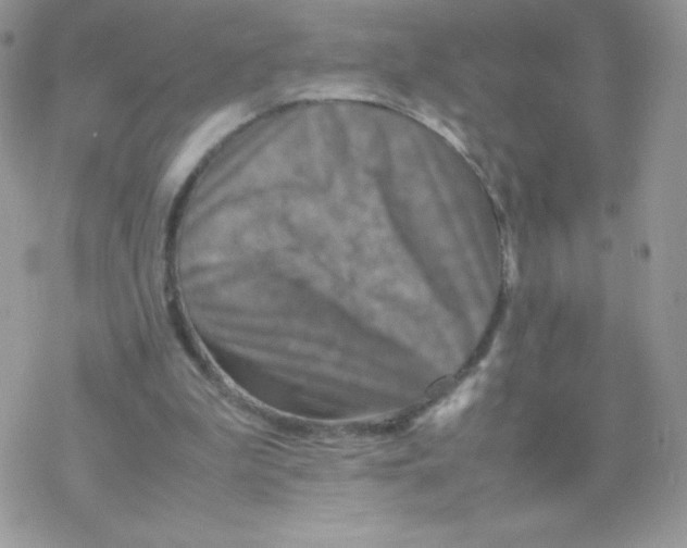 X0000077360199200611171932