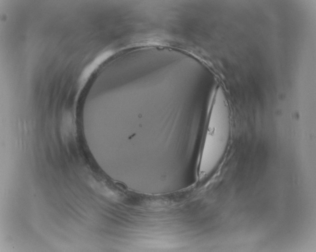 X0000077360200200611171932