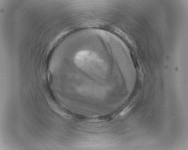 X0000077360203200611171931