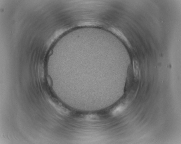 X0000077360204200611171931