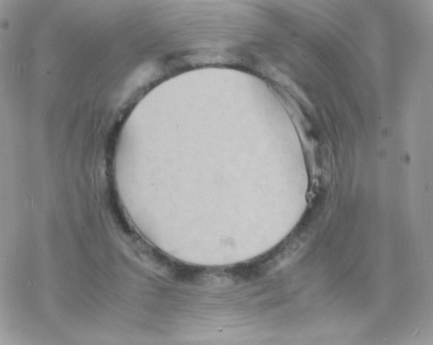 X0000077360207200611171931