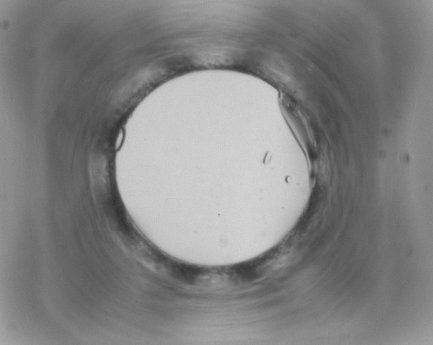 X0000077360211200611171931