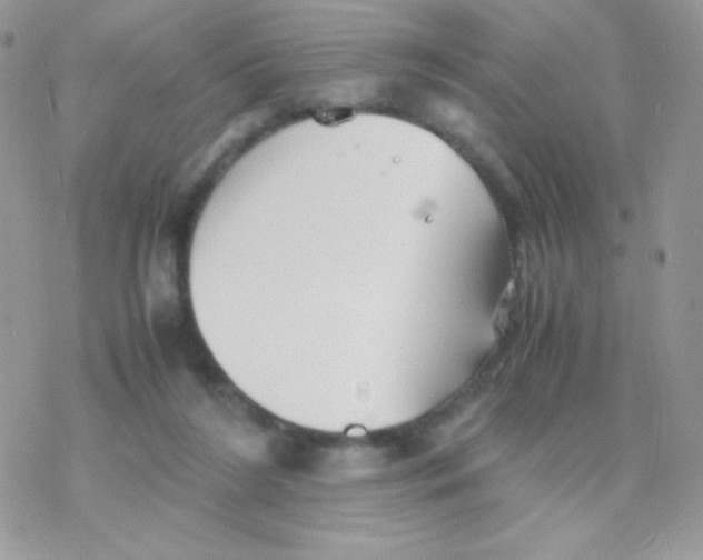 X0000077360212200611171931