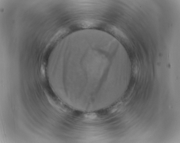 X0000077360214200611171931