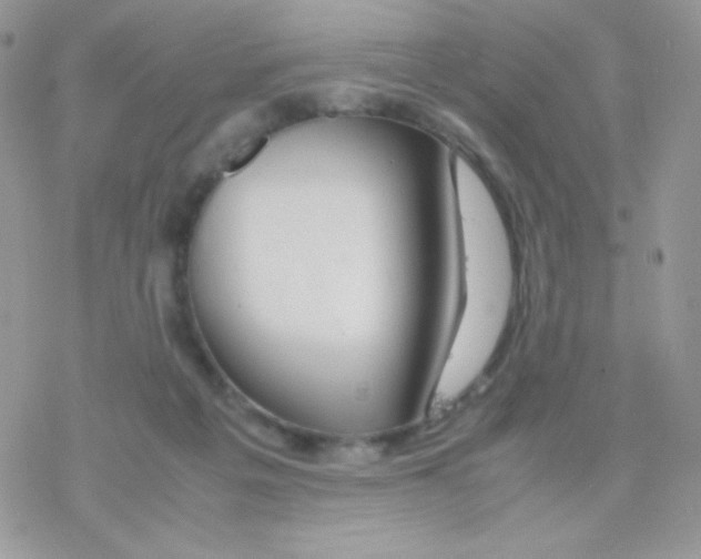 X0000077360217200611171931