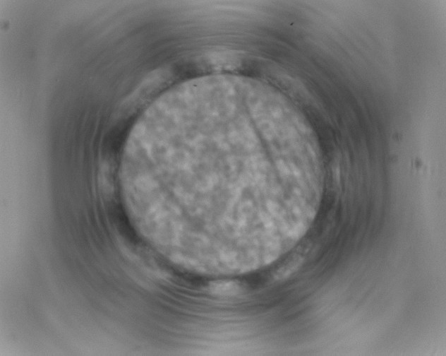 X0000077360218200611171931