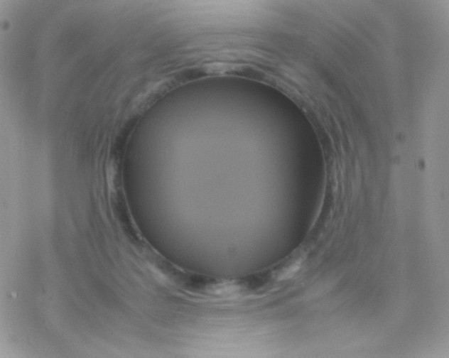 X0000077360219200611171931