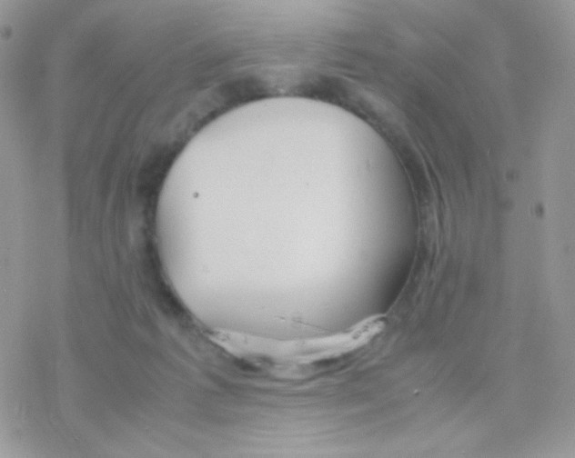 X0000077360221200611171931