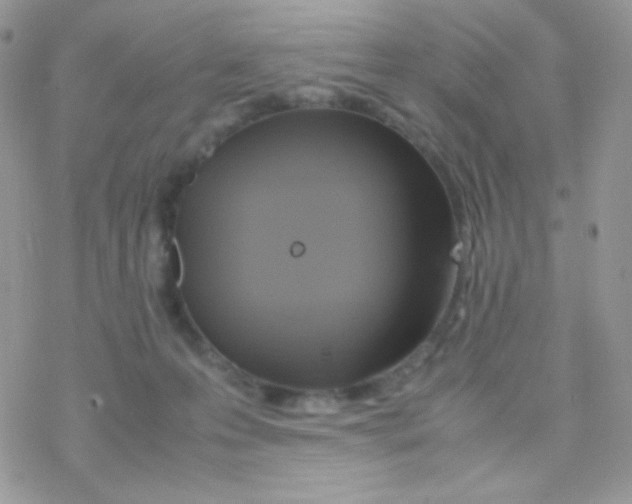 X0000077360223200611171931