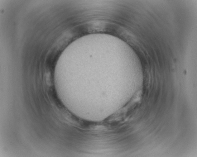 X0000077360224200611171931