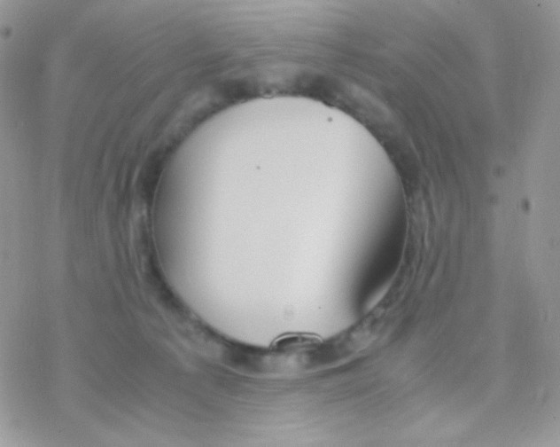 X0000077360225200611171931