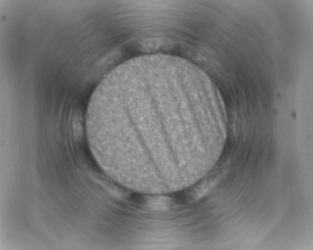 X0000077360226200611171931