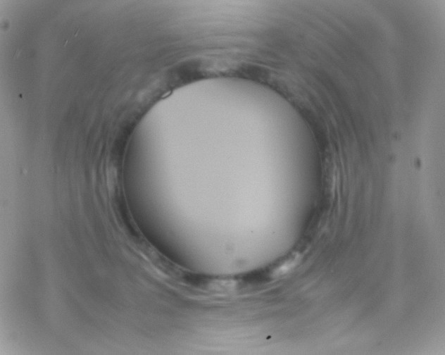 X0000077360227200611171931