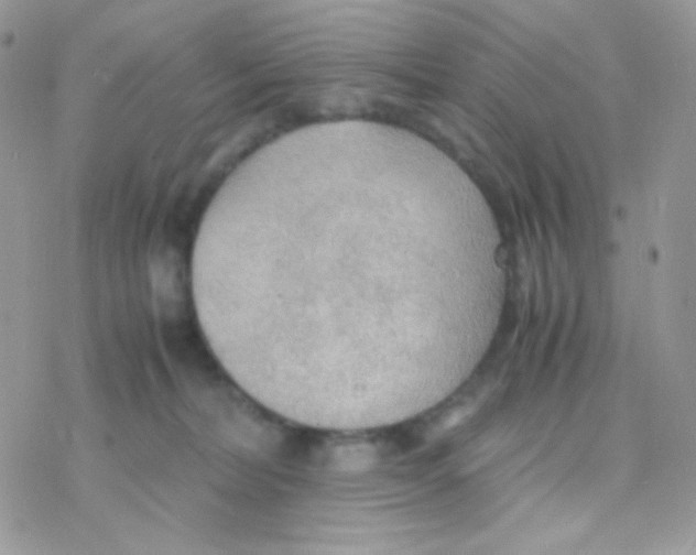 X0000077360228200611171931