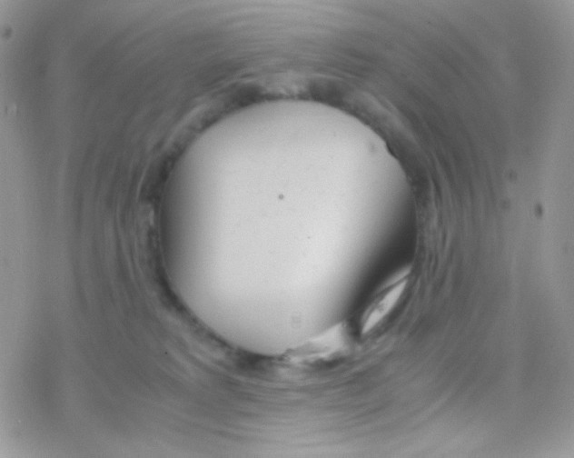 X0000077360229200611171931