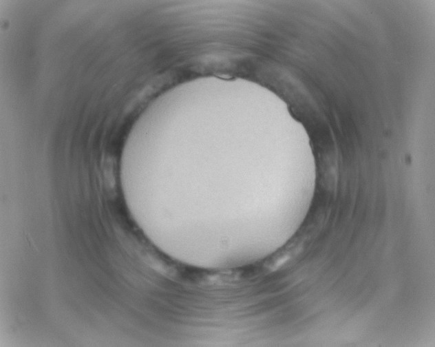 X0000077360232200611171931