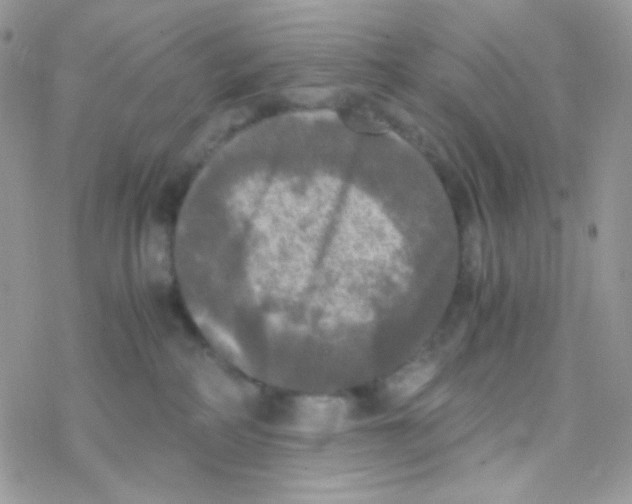 X0000077360234200611171931