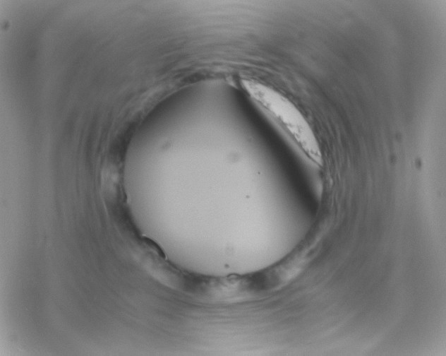 X0000077360235200611171931