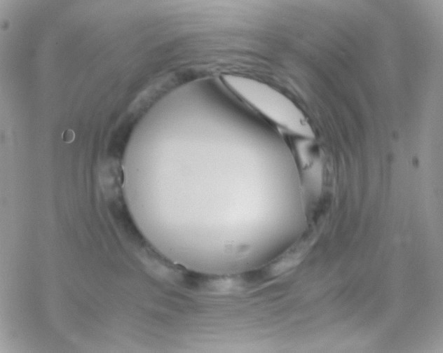 X0000077360237200611171931