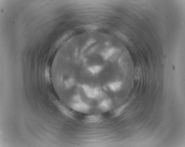 X0000077360238200611171931