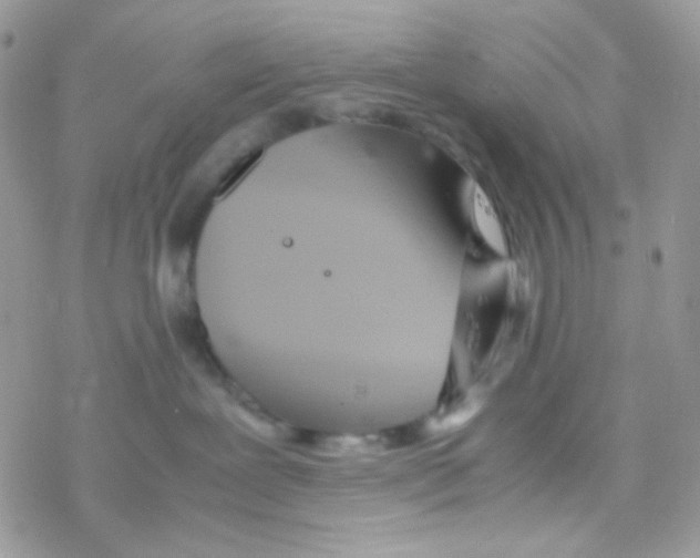 X0000077360239200611171931