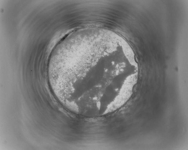 X0000077360241200611171930