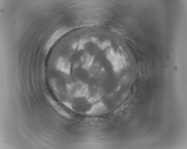 X0000077360242200611171930