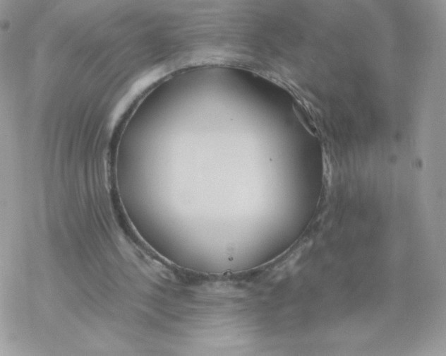 X0000077360244200611171930