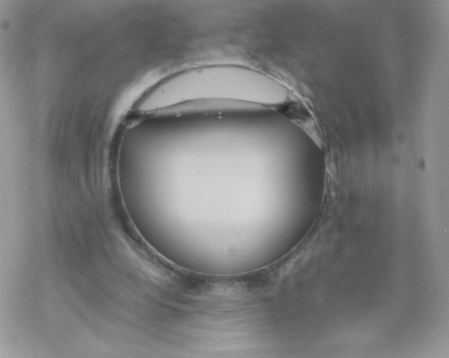 X0000077360248200611171930