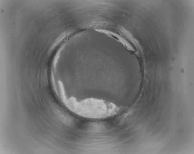 X0000077360250200611171930