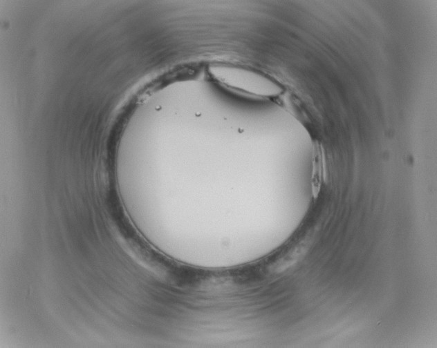 X0000077360252200611171930