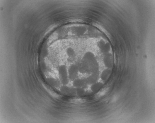 X0000077360253200611171930