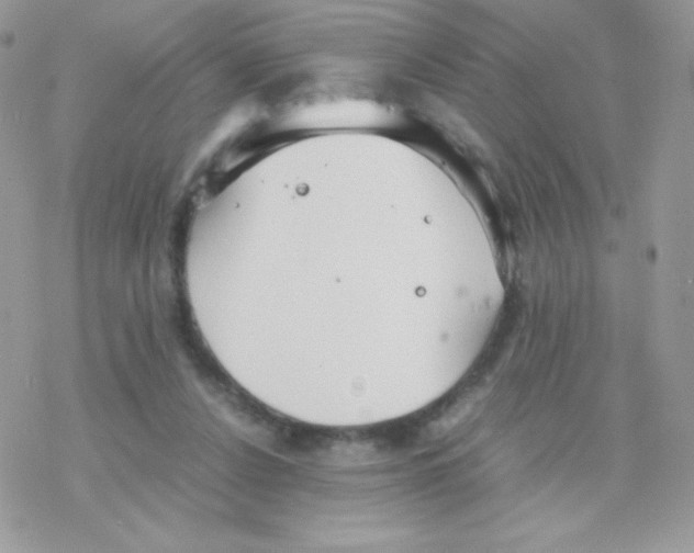 X0000077360256200611171930