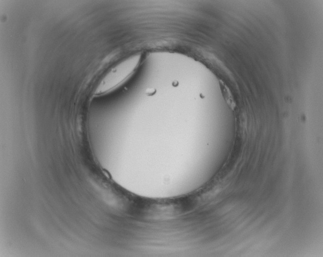 X0000077360260200611171930