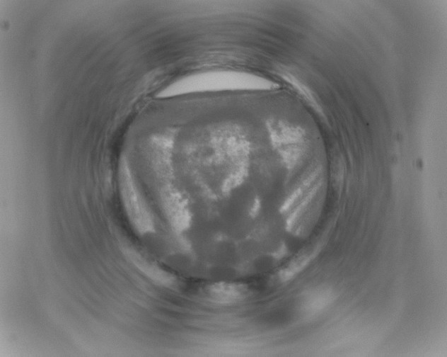 X0000077360261200611171930