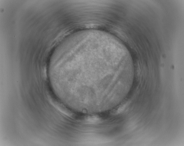 X0000077360262200611171930