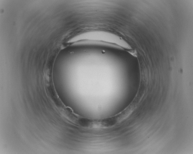 X0000077360264200611171930